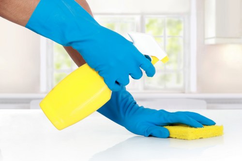 Professional deep cleaning in Ruislip for a fresh and hygienic home