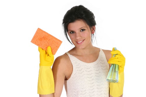 Supplier audit and compliance review for carpet cleaning partners