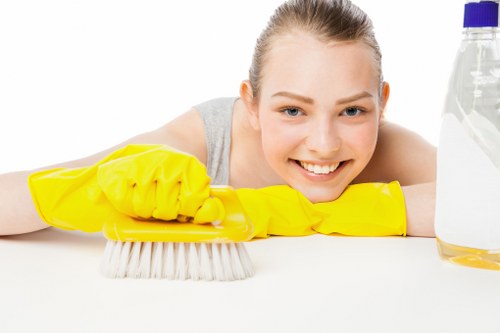 Final review of a carpet cleaning resolution